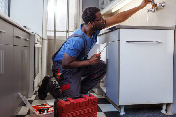 Best Garbage Disposal Repair and Installation  in Bacliff, TX